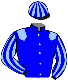 Casaque de DREAM OF GLORY