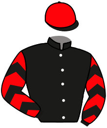 Casaque de GEMINI