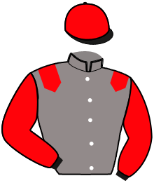 Casaque de ONYX D'AVRIL