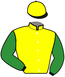 Casaque de OURAGAN DE LA COTE