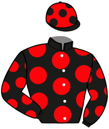 Casaque de LINDSTEDT