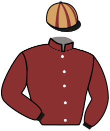 Casaque de MYTHIQUE GEMA