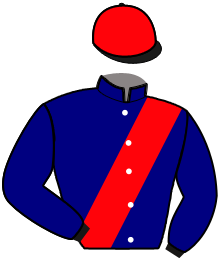 Casaque de NELSON DU PONT