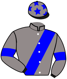 Casaque de NELSON D'ARIANE