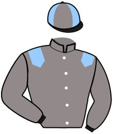 Casaque de NAVY DE CAPONET