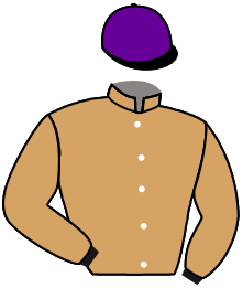 Casaque de NICAR DEL AVIGNON