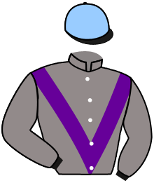 Casaque de KING THISTLE