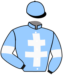 Casaque de ROMAN BLUE TAVEL