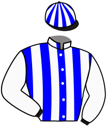Casaque de ROBIN HILL
