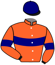 Casaque de MILLEETUNEVICTOIRE