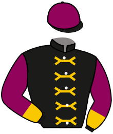 Casaque de SWORD OF WESSEX