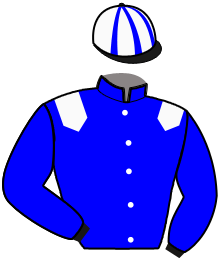 Casaque de MAJOR D'HAVAROCHE