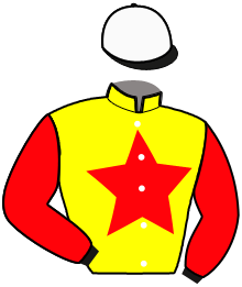 Casaque de LEADER DE VAUVILLE