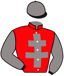 Casaque de ROMANUS PONTIFEX