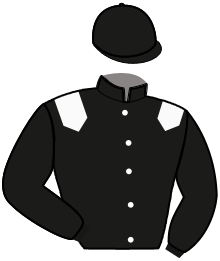 Casaque de NEW QUILLE WINNER
