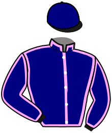 Casaque de LAZULITA