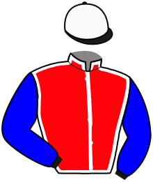 Casaque de PRINCE DE L'ORNE