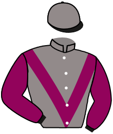 Casaque de TROPHY WINNER
