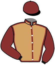Casaque de NESTORDELABARRIERE