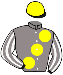Casaque de NOCTAMBULE