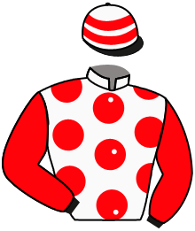 Casaque de RB YAS SIR (AR)