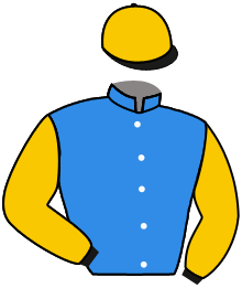 Casaque de BLUE BROTHER
